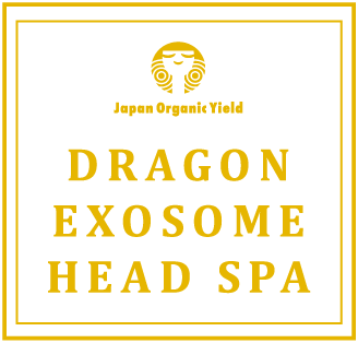 DRAGON EXOSOME HEAD SPA